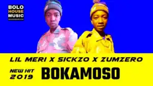 Lil Meri - Bokamoso ft. Sickzo x Zumzero